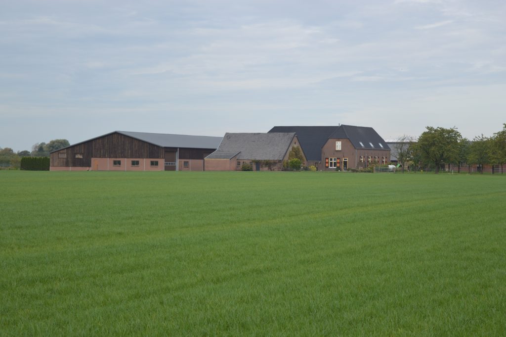 Boerderij Rijnveld